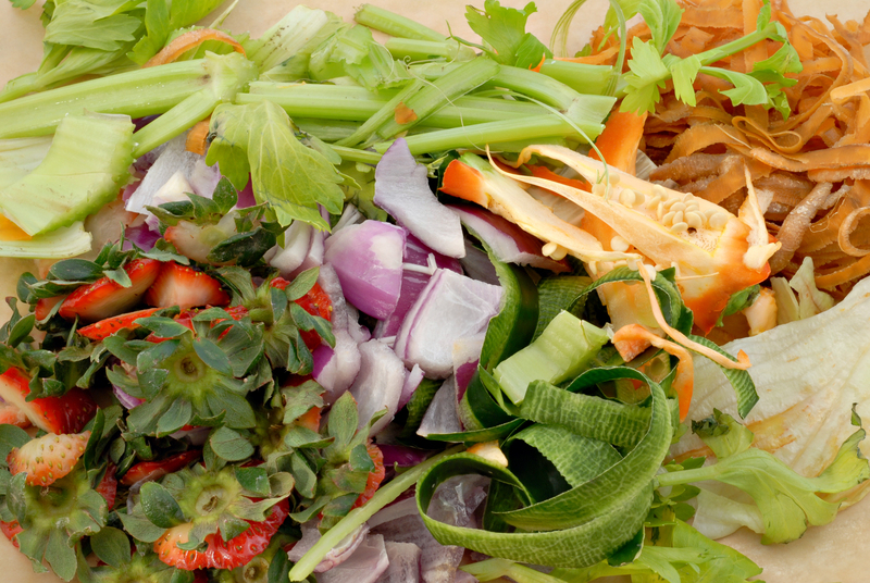 Steps to Take When Your Bin Pickup Is Missed